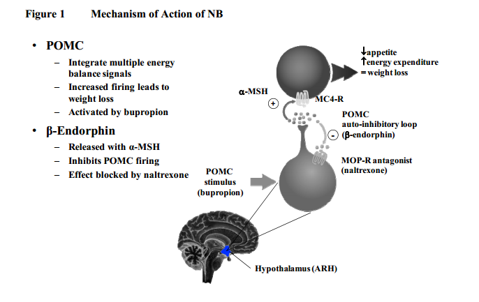 Contrave naltrexone bupropion weight loss medication