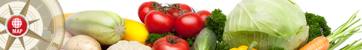 Medical nutrition and weight loss with type 2 diabetes
