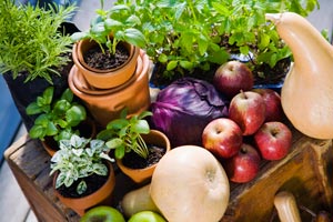 Healthy foods used in medical nutrition planning